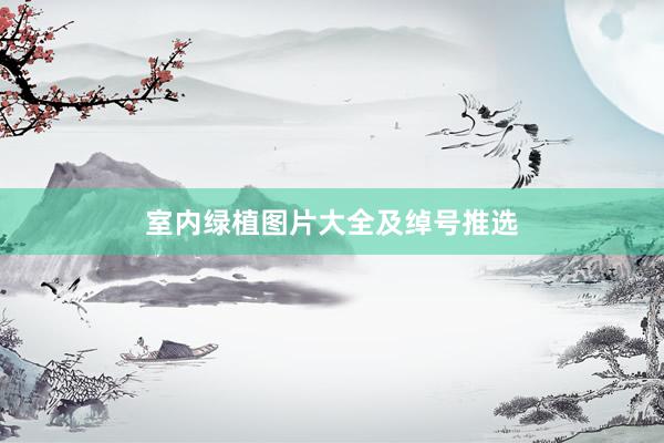 室内绿植图片大全及绰号推选